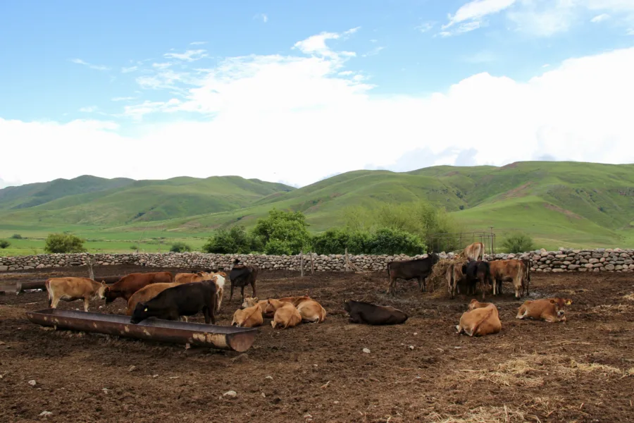 Tucumán and Tafí del Valle: Gateway to Northwest Argentina