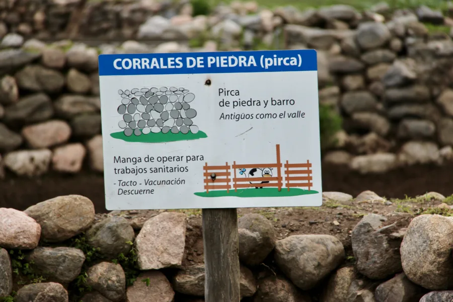 Tucumán and Tafí del Valle: Gateway to Northwest Argentina