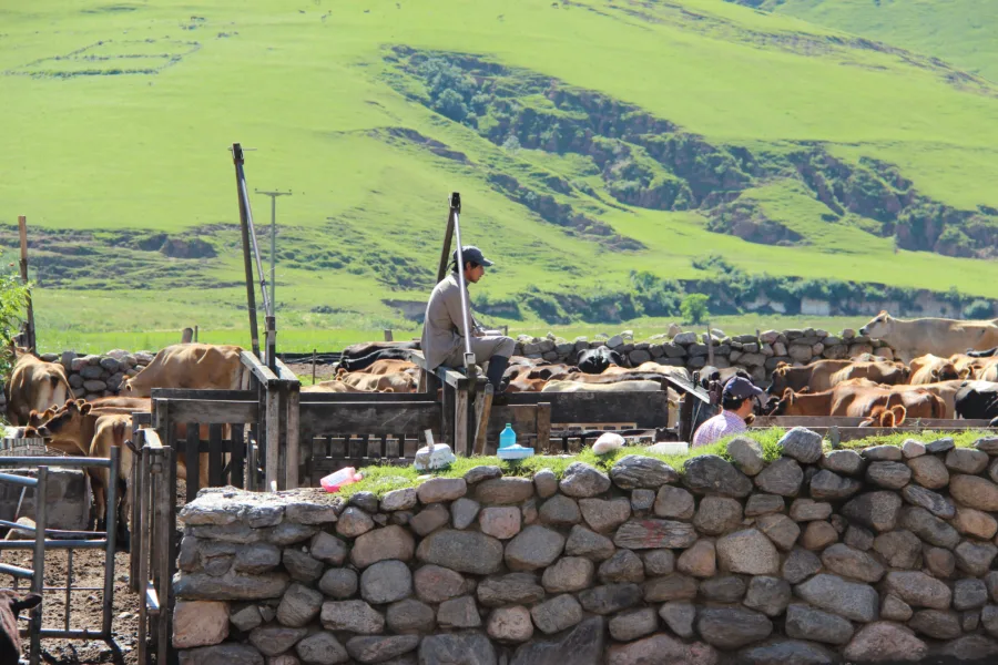 Tucumán and Tafí del Valle: Gateway to Northwest Argentina