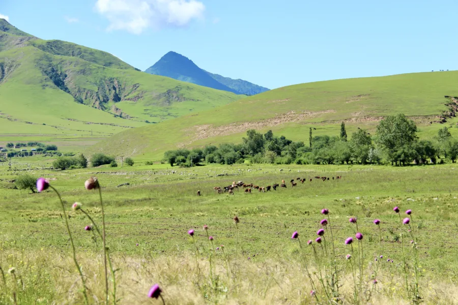 Tucumán and Tafí del Valle: Gateway to Northwest Argentina
