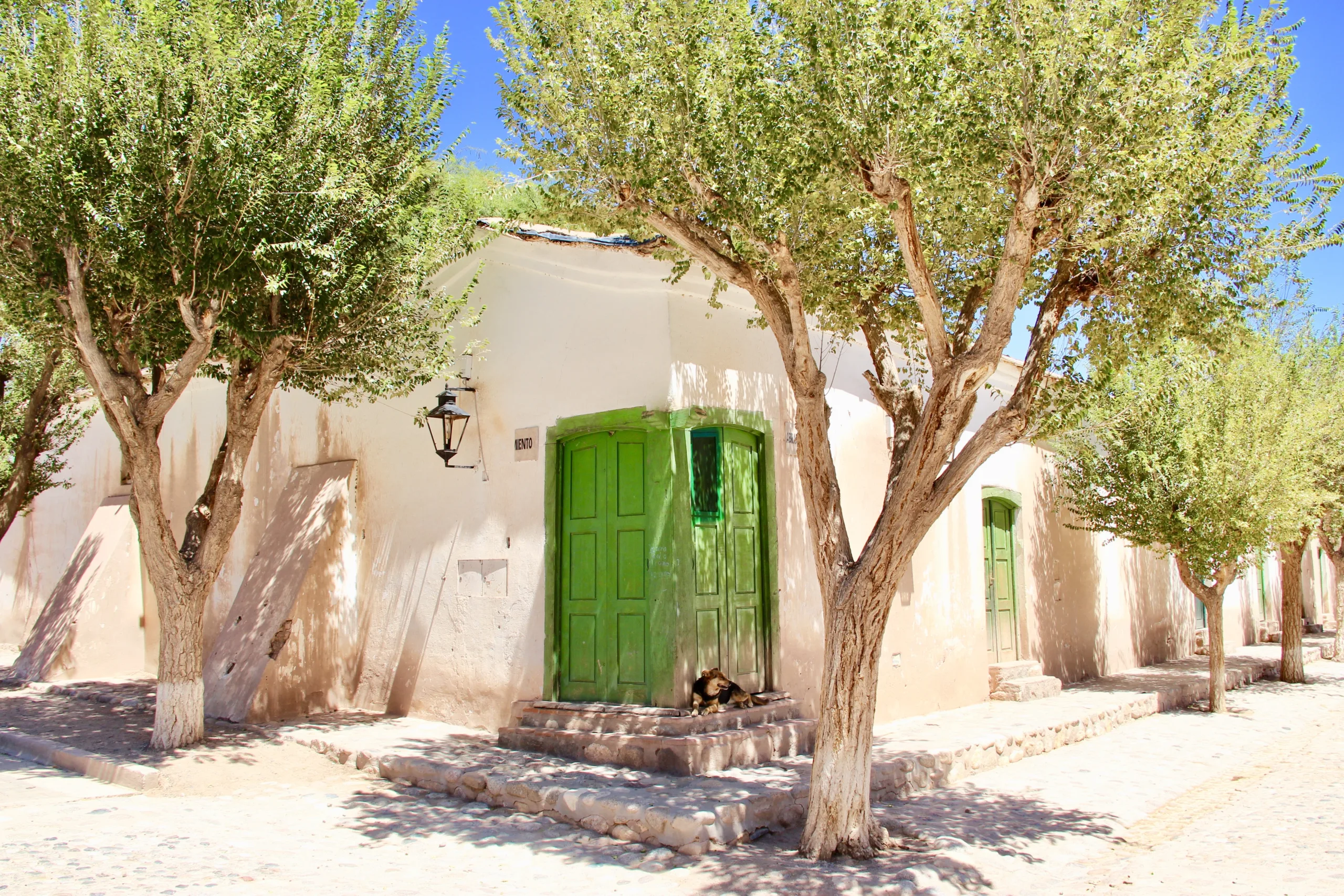 Cachi and the Calchaquí Valleys: The Slow Heart of the Andes