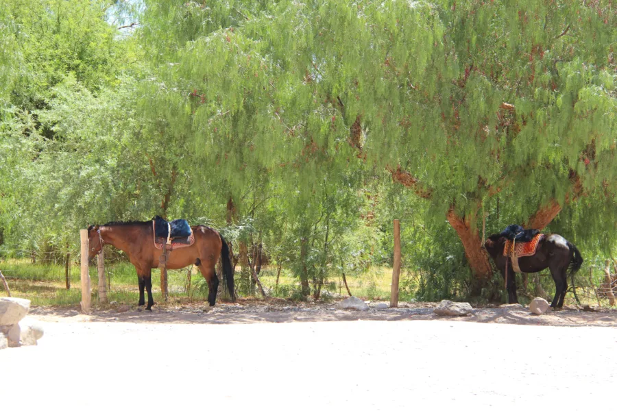 Cachi and the Calchaquí Valleys