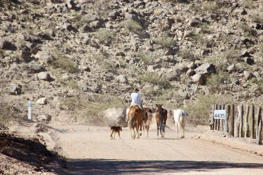 Cachi and the Calchaquí Valleys