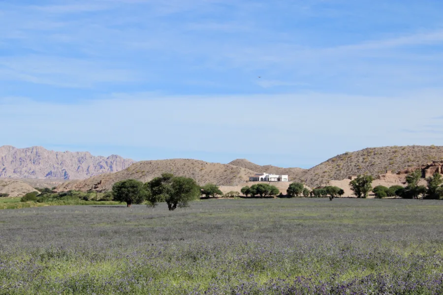 Cachi and the Calchaquí Valleys