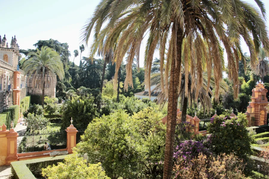 A personal and practical guide to Seville