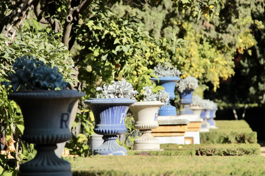 A personal and practical guide to Seville