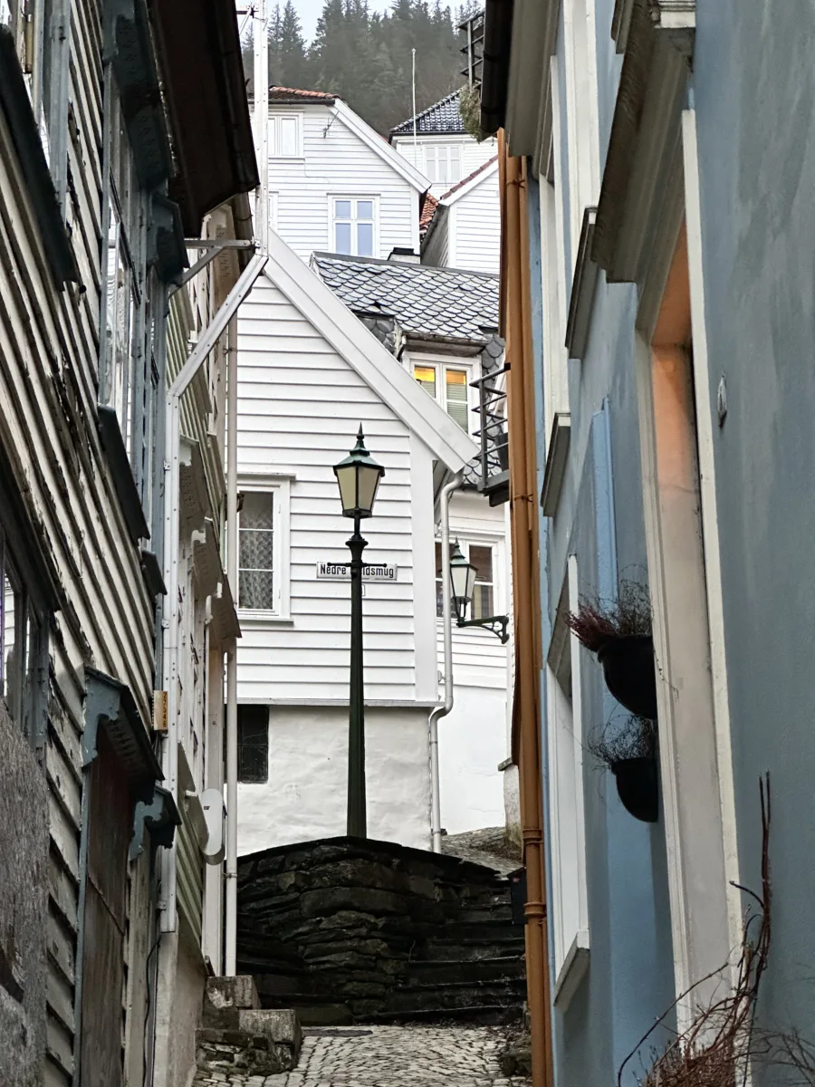 Bergen in Winter: A Five-Day Solo Travel Itinerary