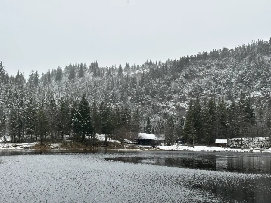 Bergen in Winter: A Five-Day Solo Travel Itinerary