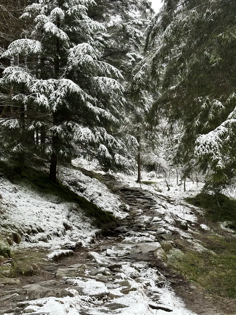 Bergen in Winter: A Five-Day Solo Travel Itinerary
