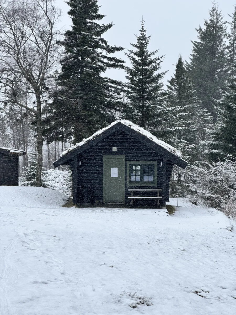Bergen in Winter: A Five-Day Solo Travel Itinerary
