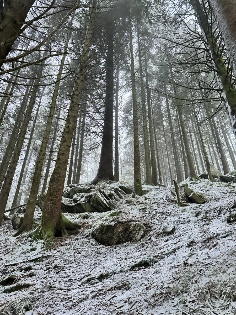 Bergen in Winter: A Five-Day Solo Travel Itinerary