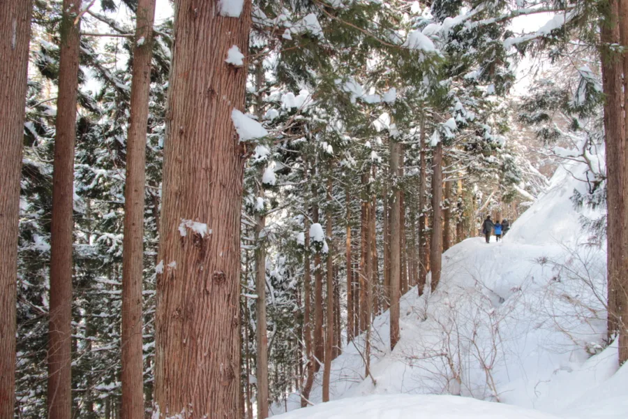 I talk about sustainability on the blog, and I stand by every word. But lately, living and working in a destination that is both loved and overused, I feel the need to say something louder and simpler.

Responsible travel is not only about carbon footprints, refillable bottles, or choosing the “eco” option on a booking engine. It is also about how you behave in a place that is someone else’s home, on a trail that someone has to maintain, and in a community that keeps functioning long after you’ve posted your photos and left.

I learned this in a very practical, almost banal way, during a winter afternoon in 2017 on a snowy trail in Japan. And, honestly, I see the same dynamic on the trails of the Cinque Terre far too often.

The day a “small mistake” became everyone’s problem

In 2017, on the path to Jigokudani Monkey Park, a girl slipped on snow. She was lucky. She stopped against a tree a few metres below and only got a few scratches.

But what happened next is the point.

A few of us formed a human chain to pull her back up. A Japanese guy hurt his back in the process. I injured my shoulder, which I had dislocated a few months earlier. We all did it instinctively, because that’s what decent humans do, but it left me thinking.

This wasn’t a freak accident. It wasn’t “bad luck”.

At the entrance there were multiple signs and clear drawings explaining the trail was not meant to be walked in loafers, ankle boots, or Converse. They even sell and rent proper boots and crampons for people who arrive unprepared.

And yet, like I often witness in the Cinque Terre, many visitors shrugged, laughed, and carried on anyway.

If it only affected the person taking the risk, I would still disagree, but I would also accept it as a personal choice. The problem is that it doesn’t stay personal.

When one person slips, everyone stops. Flows freeze. People behind are forced to wait on exposed, slippery sections. Somebody always tries to help. Sometimes it’s a local. Sometimes it’s a volunteer. Sometimes it’s a stranger who ends up injured while doing the right thing.

That day in Japan it was not the only fall, and it was certainly not the only moment when the entire path slowed down because someone’s footwear forced everyone else to move at the speed of fear.

And a friend of mine, Claudio, reminded me of something closer to home: a young girl who joined a night hike in flip-flops, forcing him to stay behind to help her.

Different countries, same pattern.

Cinque Terre taught me that “careless” has a cost

The Cinque Terre trails are not a theme park. They are real paths, with real erosion, real cliffs, real heat in summer, real storms in shoulder season, and real people trying to keep them safe.

When travellers walk the trails in unsuitable shoes, without water, without checking closures, or treating the route like a quick stroll between gelato stops, the consequences spread quickly:

Rescue services are called for preventable issues
civil protection volunteers and local teams lose hours and energy
other visitors get stuck, delayed, or pushed into risky overtakes
trail damage increases, especially when people step off-path to bypass crowds or muddy sections

And yes, there’s also the emotional cost: the quiet frustration of those who live here, work here, and watch the same preventable scenario repeat itself every day.

Responsible travel, to me, begins exactly here: with the awareness that your choices create ripples.

What responsible travel really means (in real life)

Sustainability matters, but responsible travel is broader and, in some ways, more immediate. It’s a mindset made of small decisions.

1) Respect the place as a living territory

Not as a backdrop. Not as content. Not as a checklist.

In fragile destinations, your behaviour can either protect the place or accelerate its decline. Staying on marked trails, following closures, and avoiding shortcuts is not “being obedient”. It is choosing not to contribute to damage that locals will have to fix.

2) Respect the people who live there

A destination is not only a service. It is a community with rhythms, work, school runs, elderly neighbours, deliveries, and real life.

Responsible travel means:

keeping noise down in residential areas
not blocking doorways, narrow alleys, and staircases for photos
understanding that local life is not there to perform for tourism
3) Respect the people who keep you safe

Civil protection volunteers, rescuers, park staff, guides, maintenance teams. In many places, they are under-resourced and constantly stretched.

Every avoidable emergency pulls them away from other duties. Every unnecessary rescue increases risk for them too.

4) Respect other visitors

This is the one travellers often forget.

If you choose to hike in the wrong shoes, you are not “free-spirited”. You are turning yourself into a bottleneck, a hazard, and potentially an emergency that someone else must manage.

You don’t need to be an expert hiker to be responsible. You just need to be prepared.

A practical checklist for responsible travel (especially on trails)

Here’s what I wish more travellers did, in the Cinque Terre and anywhere with nature, weather, and crowds.

Before you go
Check official trail updates (closures, weather warnings, alternative routes)
Plan your timing: early morning or late afternoon reduces crowd pressure and heat risk
Be honest about your fitness and experience: choose a route that matches you, not your Instagram feed
Pack basics: water, light layers, sun protection, a small snack
Shoes are not a detail

If there’s one thing I’d put on a billboard, it’s this: footwear is safety.

proper trainers with grip at minimum
hiking shoes if the route is uneven, wet, steep, or rocky
no sandals, no fashion boots, no smooth soles
in snow or ice: rent or buy microspikes or crampons if suggested
On the trail
Do not step off-path to let others pass if it damages vegetation or increases erosion
Don’t overtake in risky spots just because you’re impatient
If you’re slowing everyone down, step aside in a safe wide point and let people pass
Carry your rubbish out, always
Keep your voice low: nature is not improved by shouting
If something goes wrong
Ask for help, yes, but also don’t be proud. Turning back is often the most responsible choice.
If you see someone in trouble, help if you can do it safely, but do not create a second accident.
In destinations like the Cinque Terre, know that calling rescue can be complex and slow. Prevention is everything.
The point I keep coming back to

That winter afternoon in Japan could have ended much worse. What stayed with me is not the fall itself, but the chain reaction: strangers injured while helping, the trail blocked, the tension of people trying to move safely around someone else’s avoidable mistake.

And it’s the same feeling I get when I watch tourists underestimate the Cinque Terre trails, dismiss warnings, laugh at signs, and then act surprised when things get difficult.

Responsible travel is, in the end, a form of respect.

Respect for a place. For the people who live there. For the people who keep it running. For the other travellers sharing the same narrow path.

And yes, also for yourself.

Because being prepared is not “less adventurous”. It’s what allows you to enjoy a destination deeply, safely, and with the kind of lightness that doesn’t become someone else’s burden.