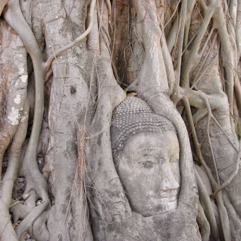 Ayutthaya day trip from Bangkok by train