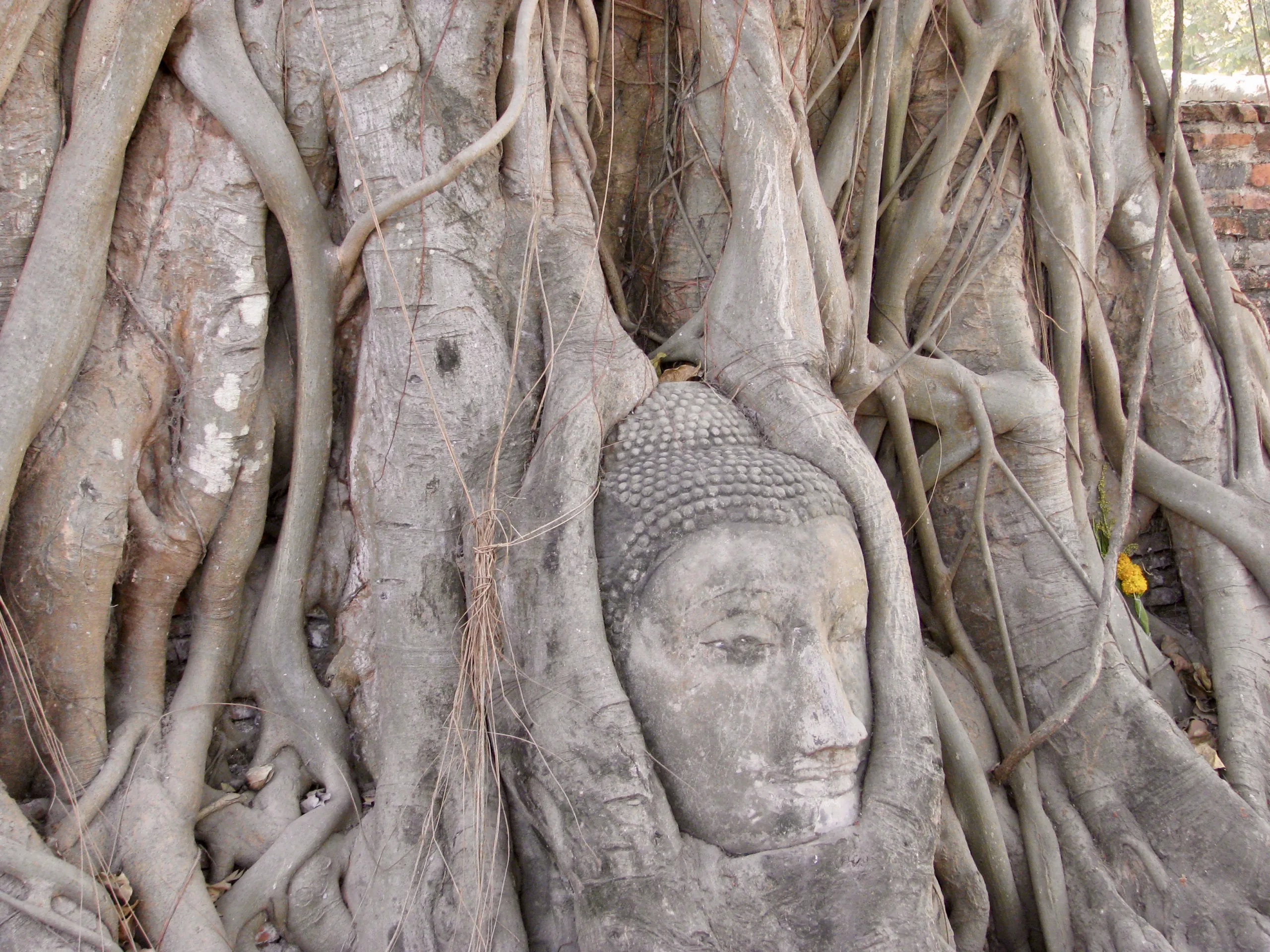 Ayutthaya: my favourite day trip from Bangkok, powered by trains and ridiculous old bikes