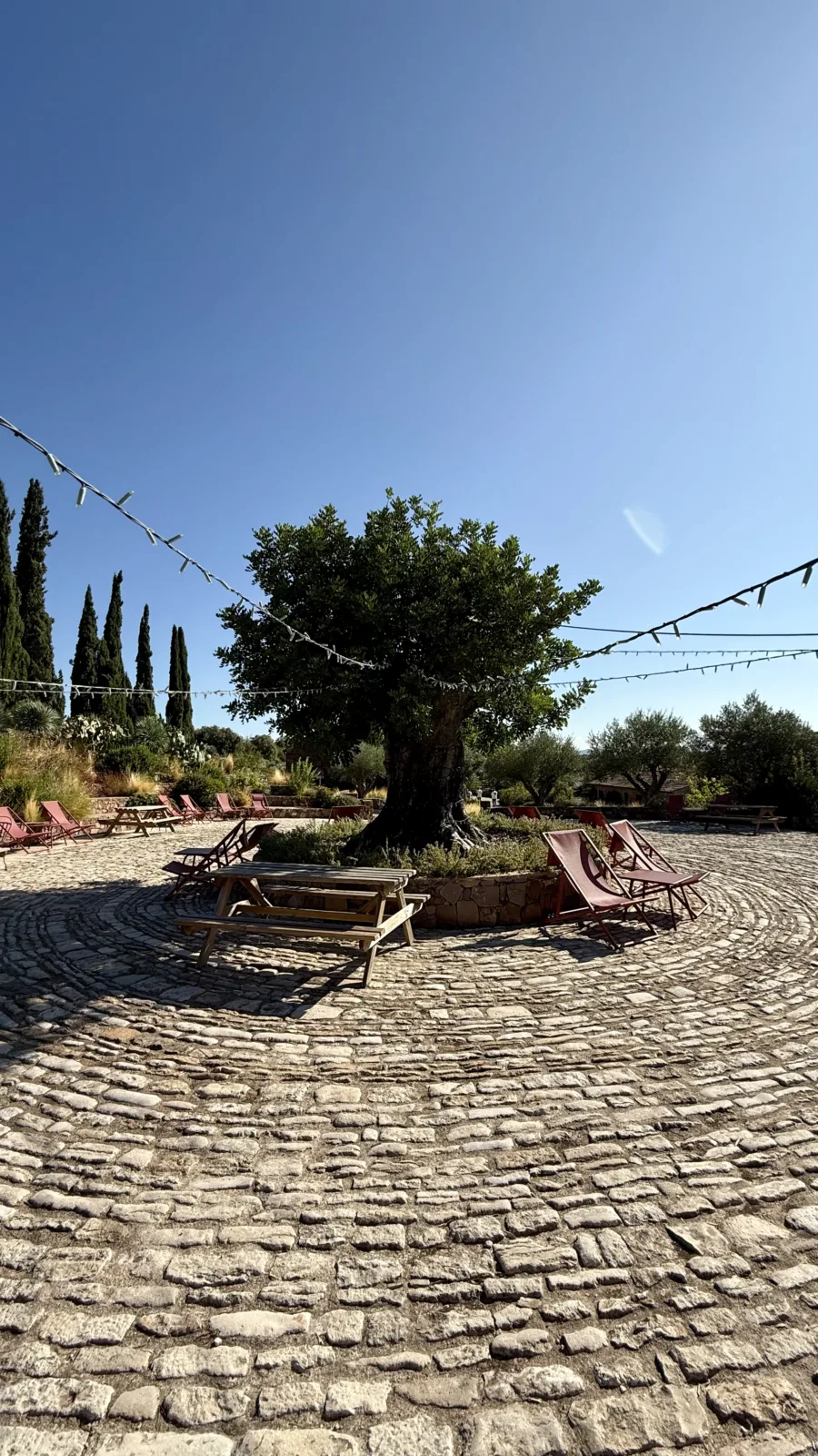 Château Saint Roux: An Alternative Weekend in Provence Near the Côte d’Azur
