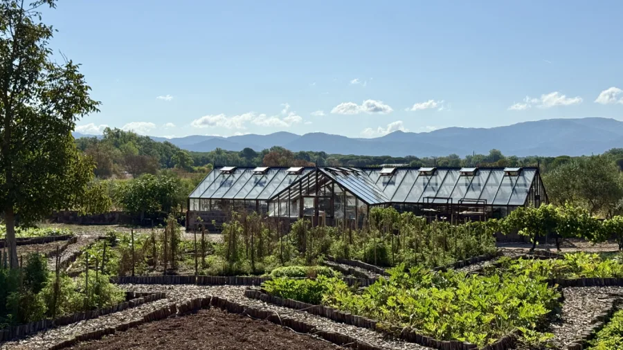 Château Saint Roux: An Alternative Weekend in Provence Near the Côte d’Azur