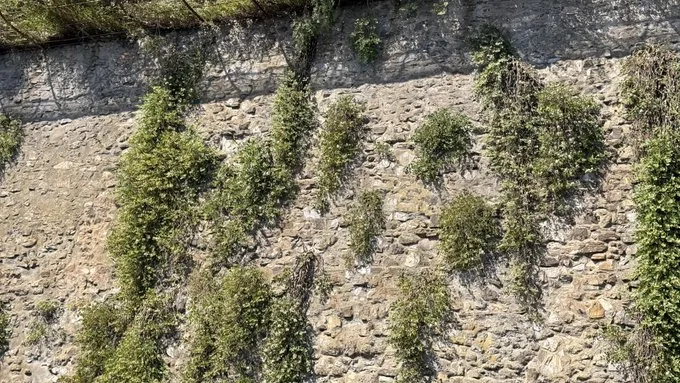Genoa Walls and Forts: A Slow Walk From the Sea
