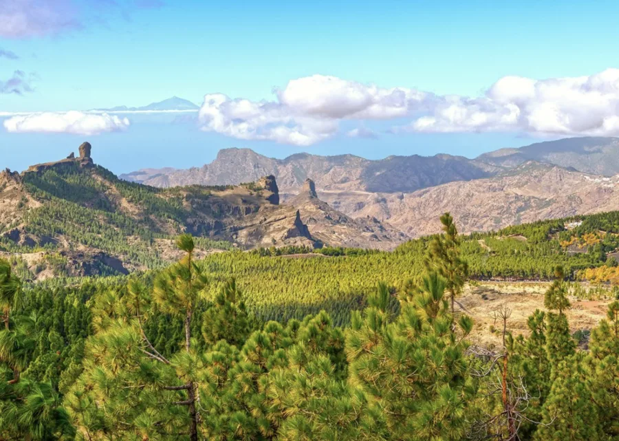 Gran Canaria: Your Perfect Destination at Any Time of Year